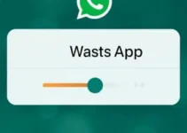 RSS Feed