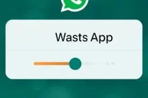 RSS Feed