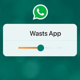 RSS Feed
