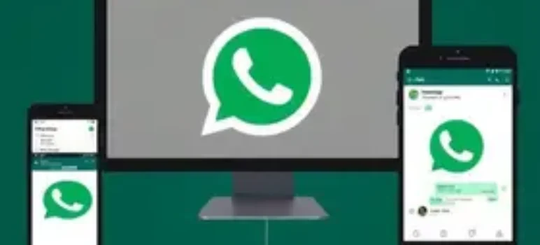 RSS Feeds