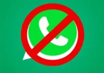 feeds RSS