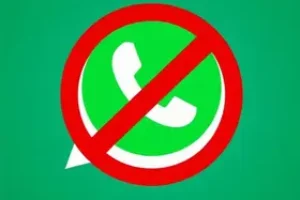 feeds RSS