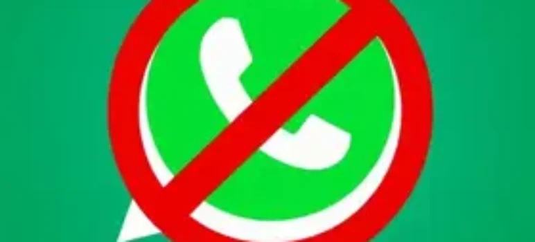 feeds RSS