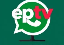 RSS Feed