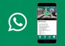 feeds RSS