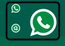 RSS Feed