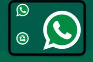 RSS Feed