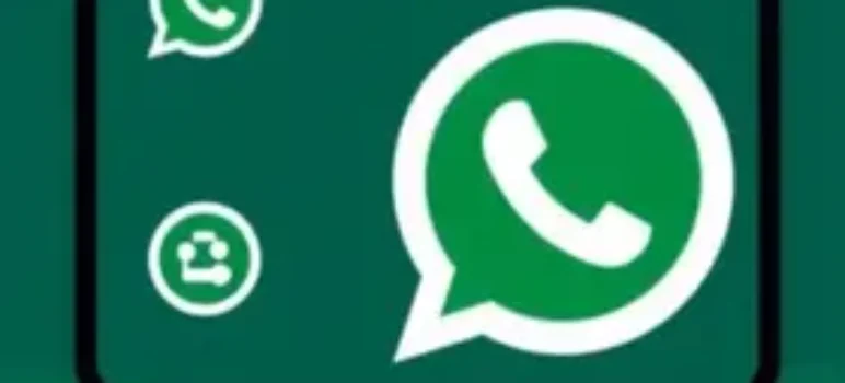 RSS Feed