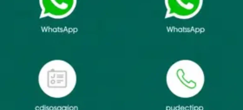 RSS Feed