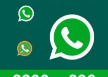 RSS Feed
