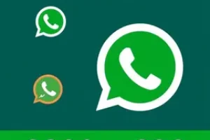 RSS Feed