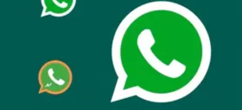 RSS Feed