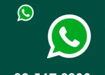 Feeds RSS
