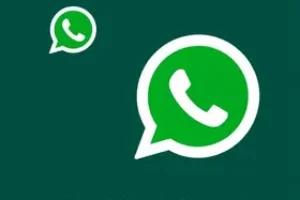 Feeds RSS