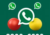 RSS Feed