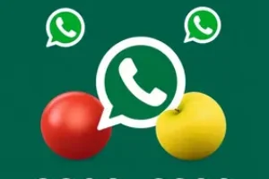 RSS Feed