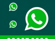 RSS Feed