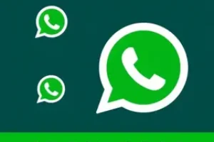 RSS Feed