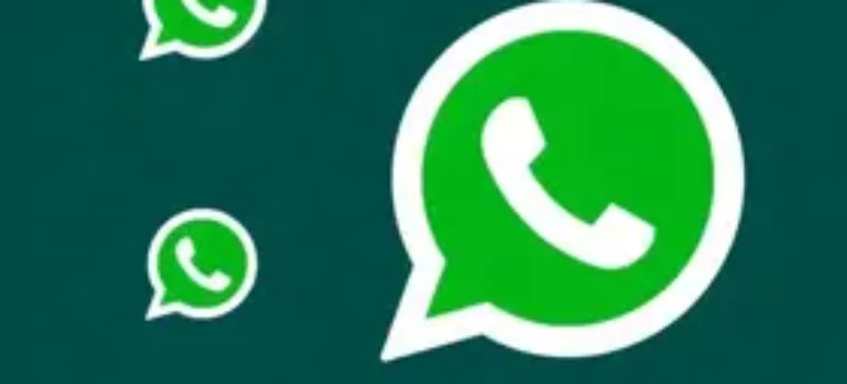 RSS Feed