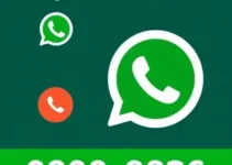 feeds RSS