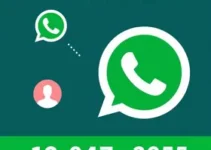 RSS Feed