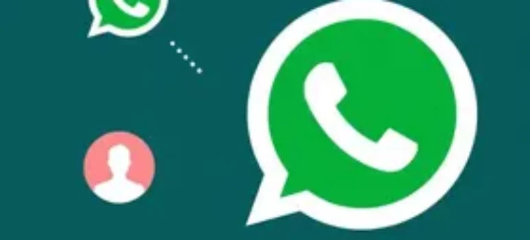 RSS Feed