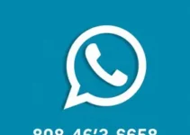 feeds RSS