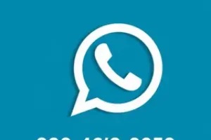 feeds RSS