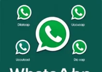 Feed RSS