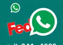 feeds RSS