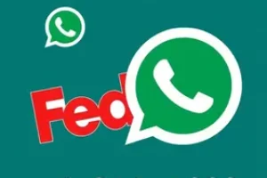 feeds RSS