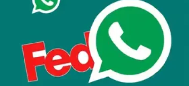 feeds RSS