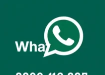 RSS Feed