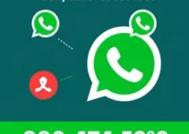 RSS Feed
