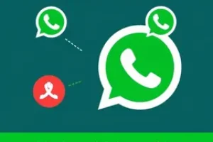 RSS Feed