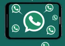 feeds RSS