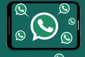 feeds RSS