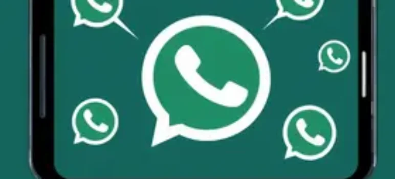 feeds RSS