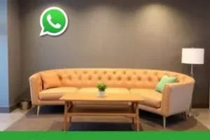 Feed RSS