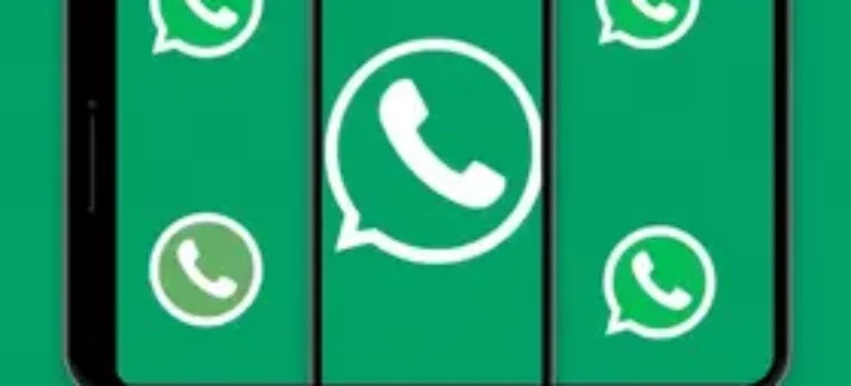 feed rss