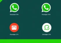RSS Feed