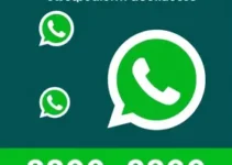 feeds RSS