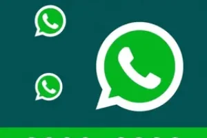 feeds RSS