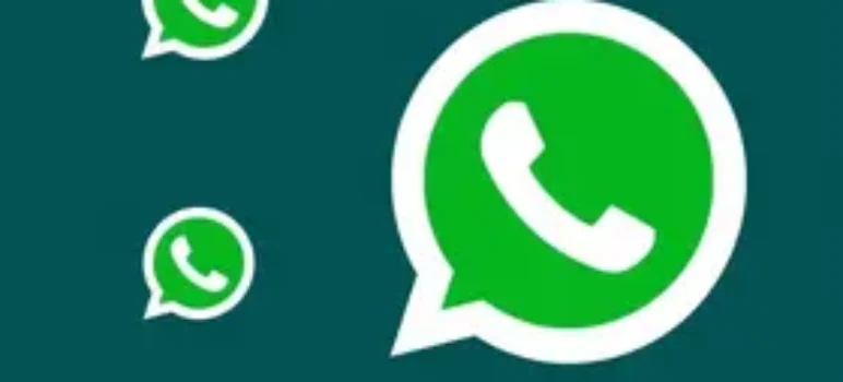 feeds RSS