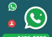 RSS Feed