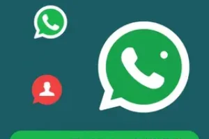 RSS Feed