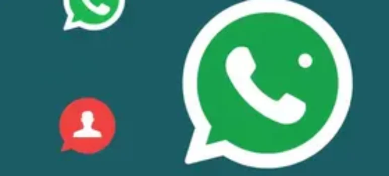 RSS Feed