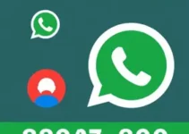 RSS Feed