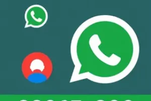 RSS Feed