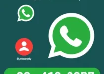 RSS Feed